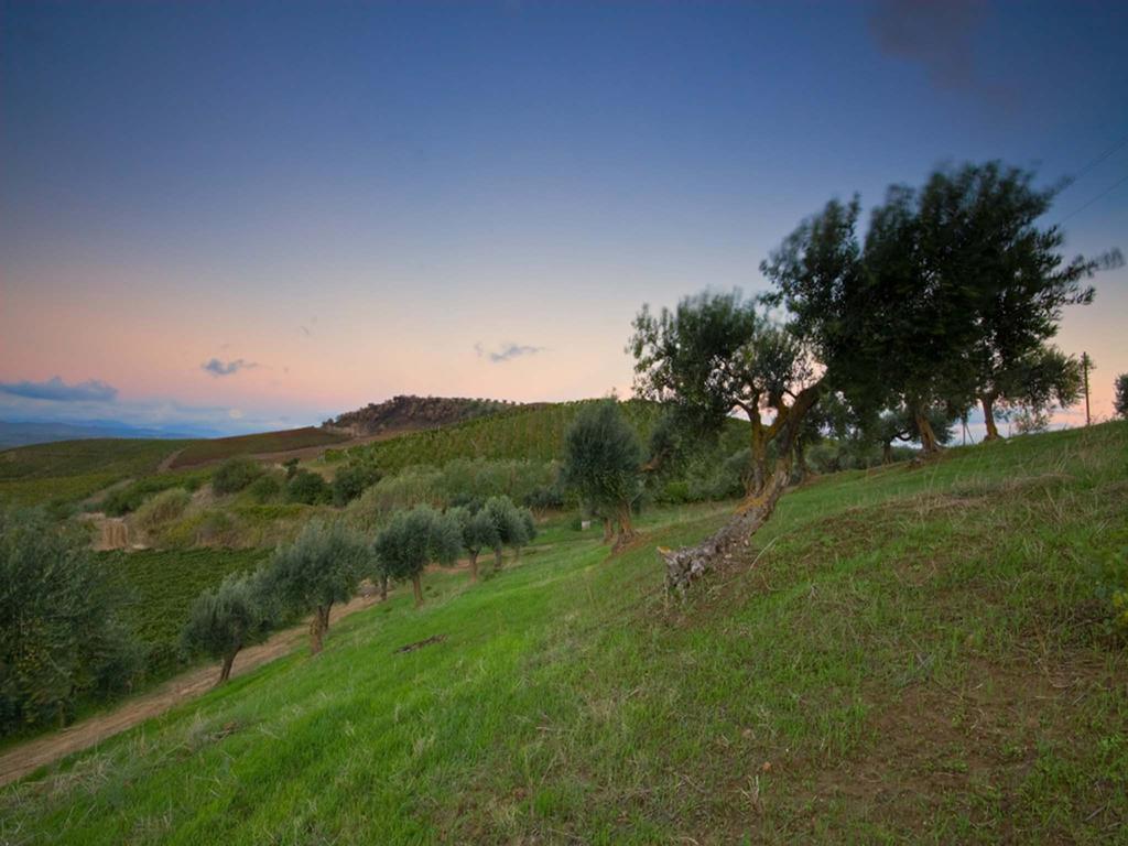 Agriturismo Sirignano Wine Resort 外观 照片